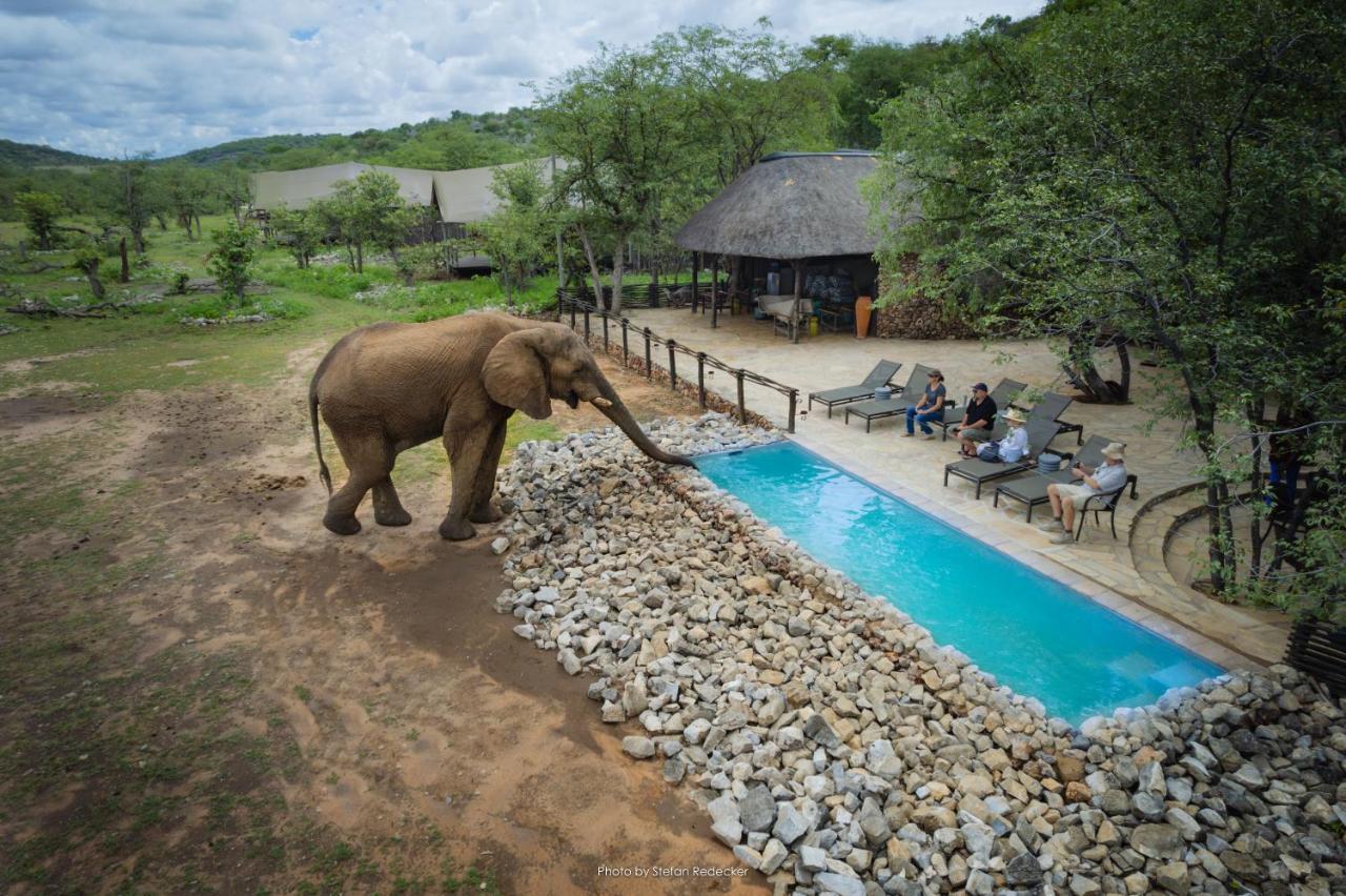 Ongava Tented Camp Okaukuejo Exterior foto