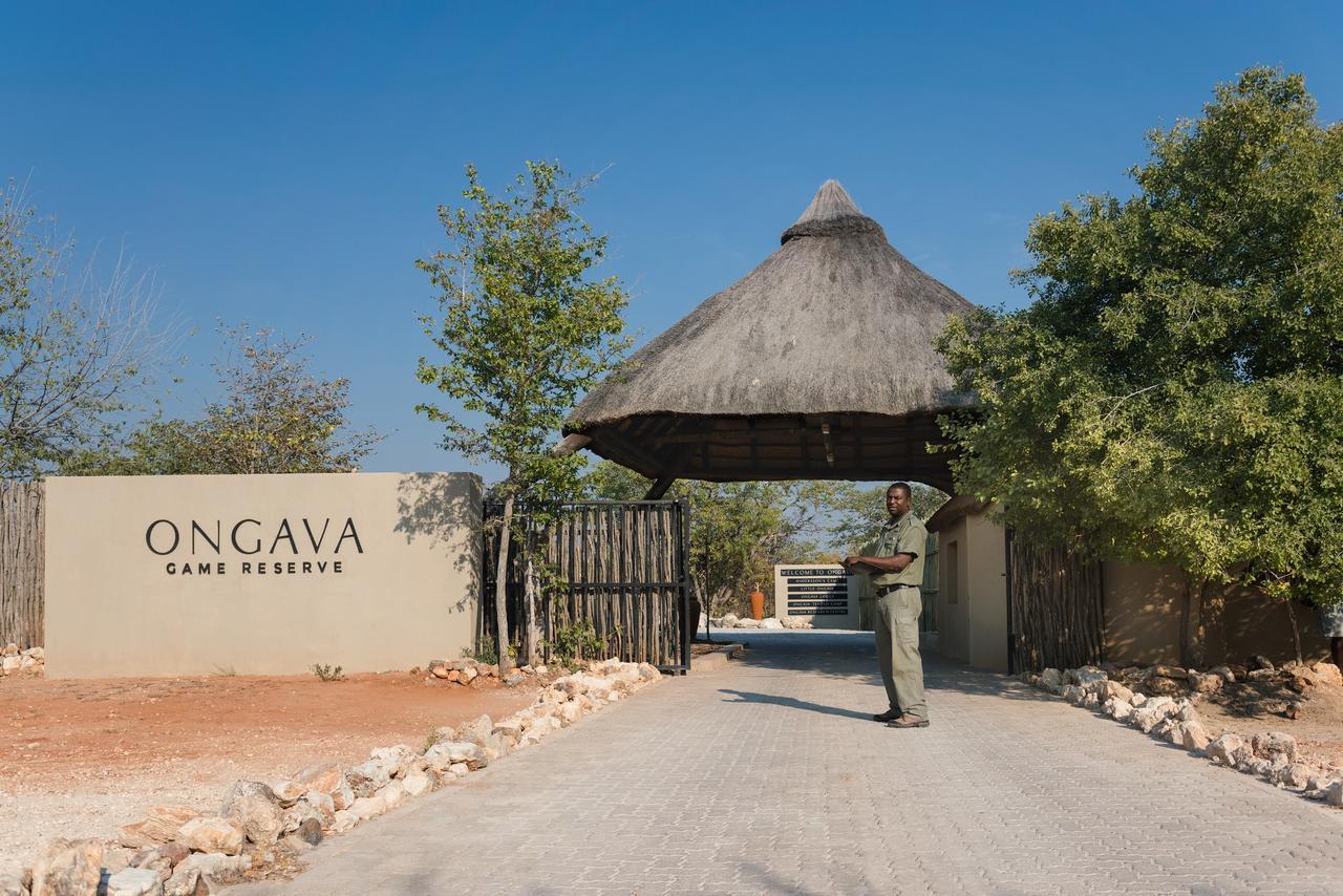 Ongava Tented Camp Okaukuejo Exterior foto