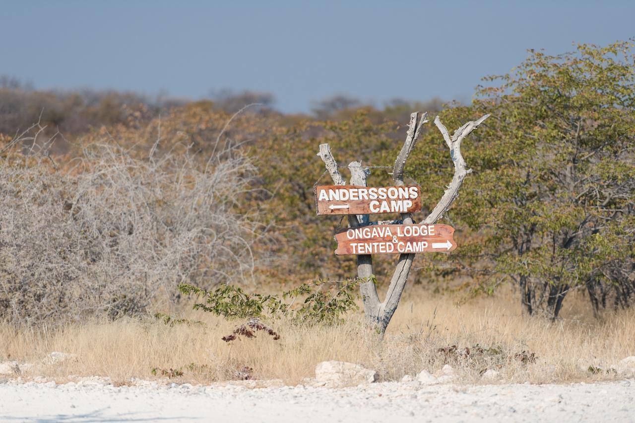 Ongava Tented Camp Okaukuejo Exterior foto
